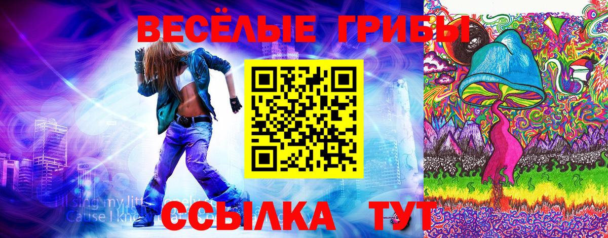 Псилоцибиновые грибы GOLDEN TEACHER  Вход с VPN  Туймазы 
